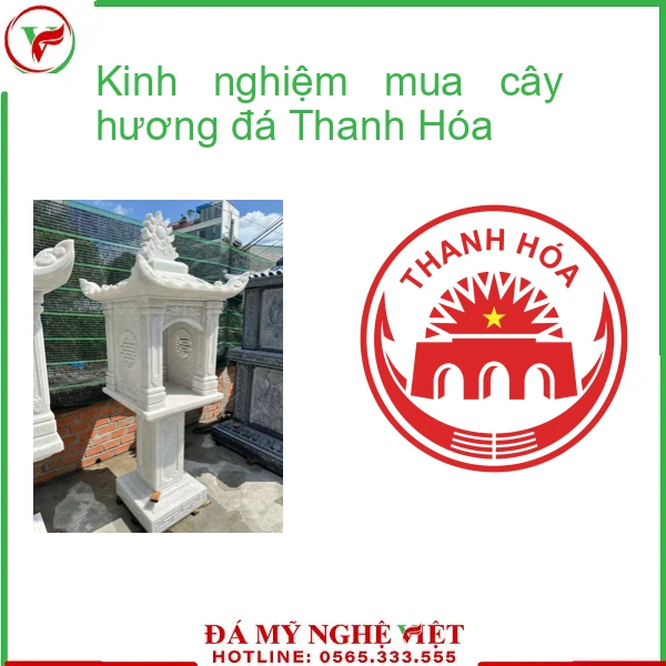 Kinh nghiệm mua cây hương đá Bến Tre-5